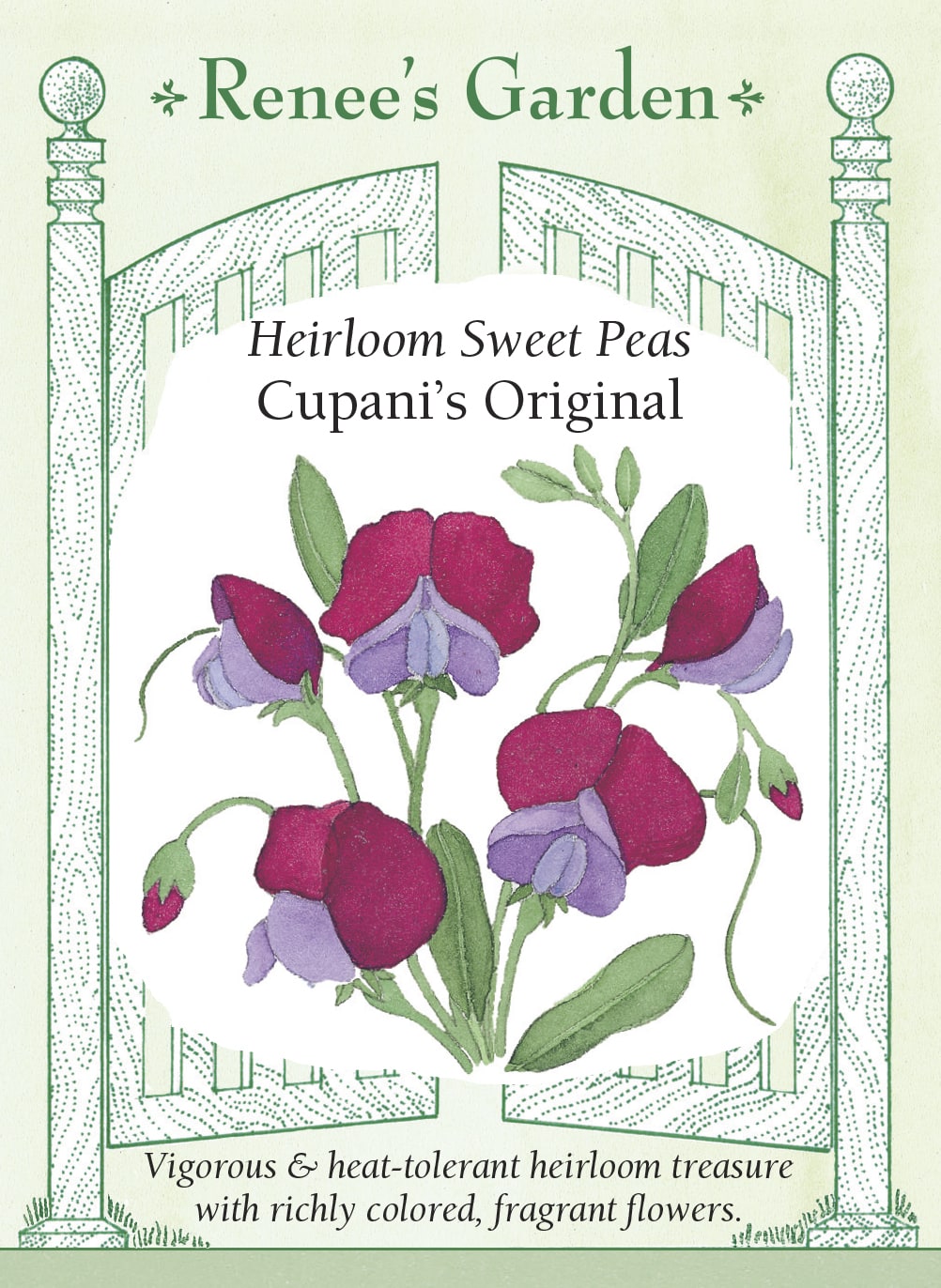 Heirloom Sweet Peas - Cupani's Original