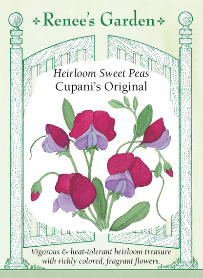 Heirloom Sweet Peas - Cupani's Original