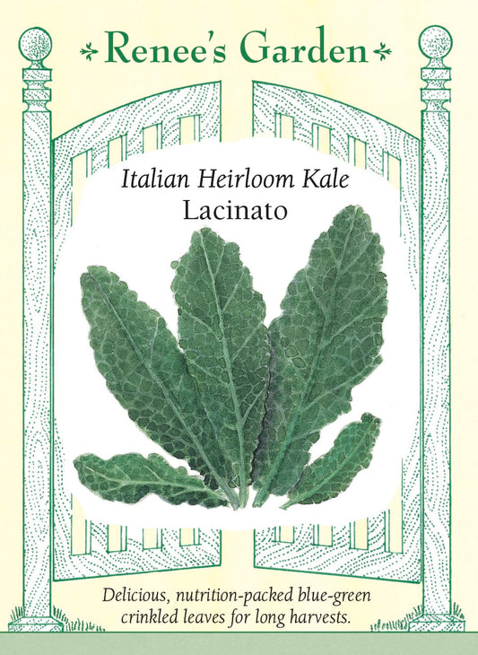 Italian Heirloom Kale - Lacinato