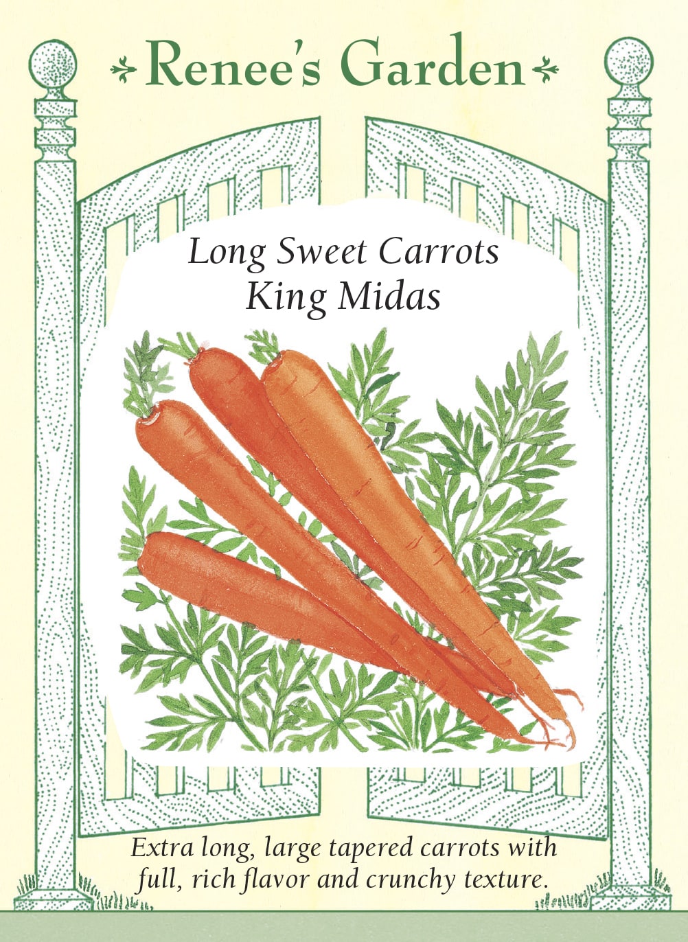 Long Sweet Carrots - King Midas