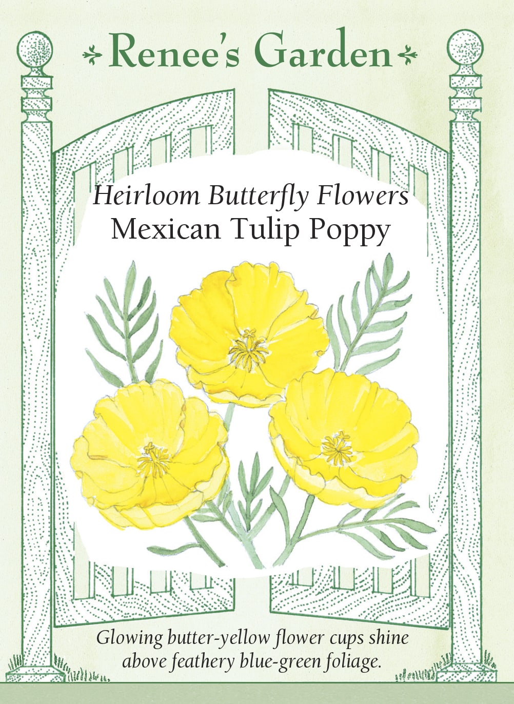 Heirloom Butterfly Flowers - Mexican Tulip Poppy
