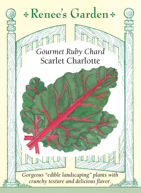 Gourmet Ruby Chard - Scarlet Charlotte