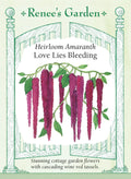 Heirloom Amaranth - Love Lies Bleeding