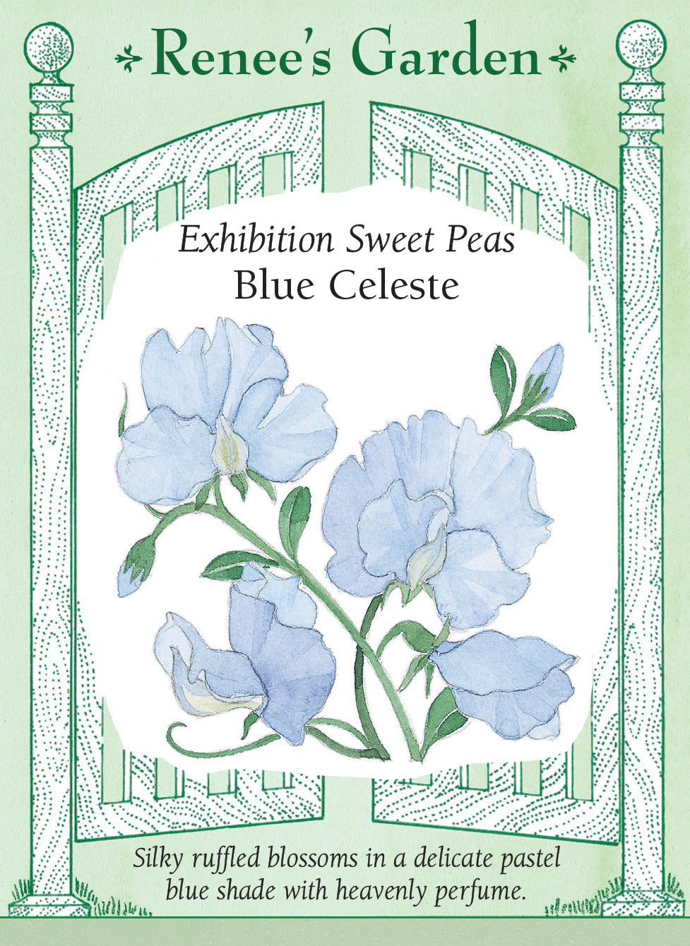 Packet with illustration of blue sweet peas and text about Exhibition Sweet Peas 'Blue Celeste'.