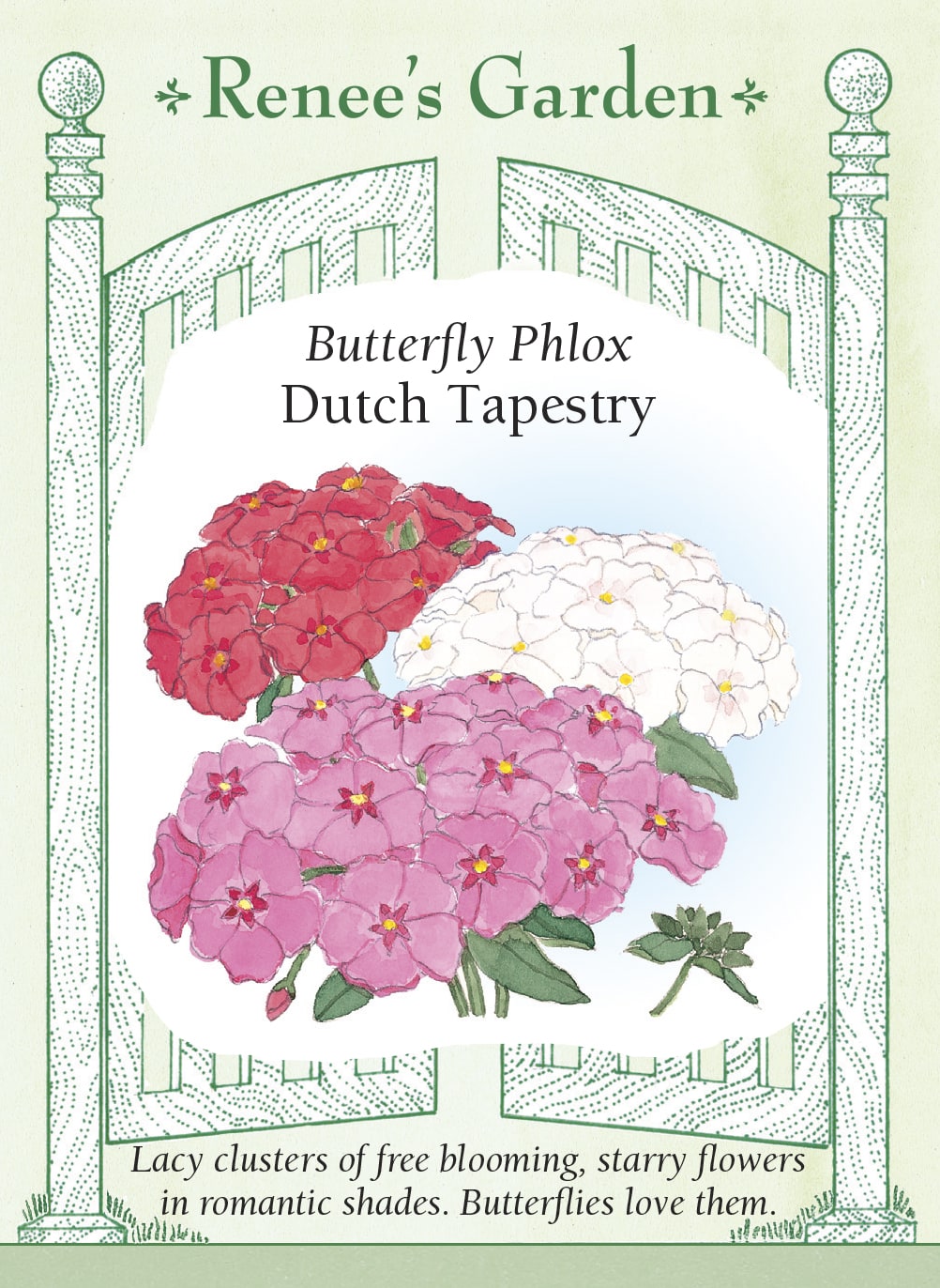 Butterfly Phlox - Dutch Tapestry