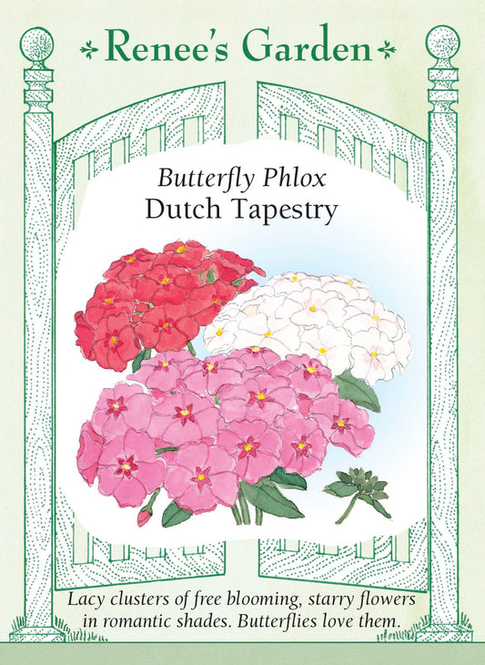 Butterfly Phlox - Dutch Tapestry