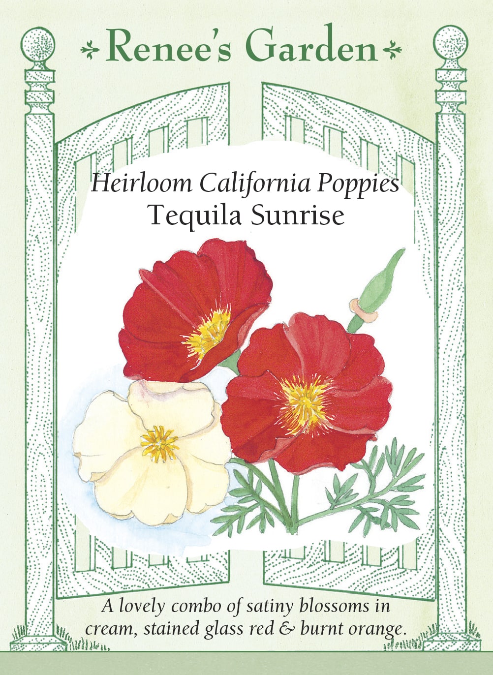 California Poppies - Tequila Sunrise