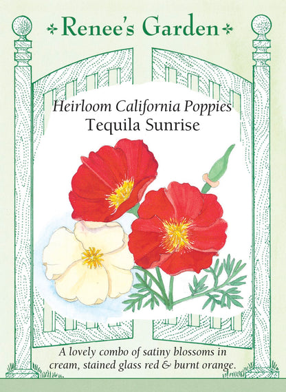 California Poppies - Tequila Sunrise