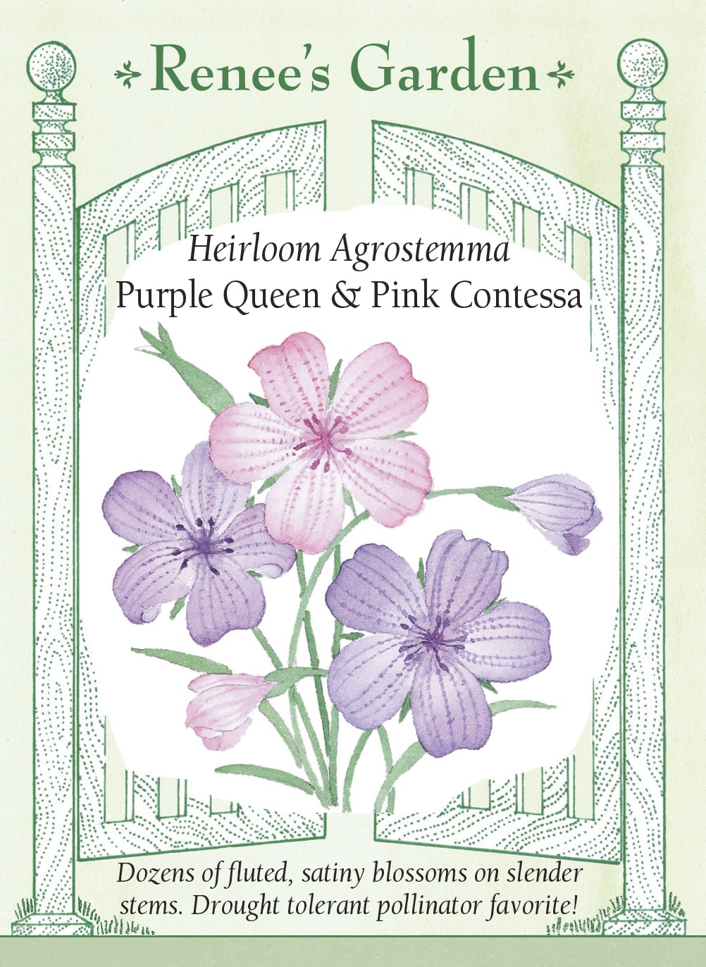Hand-Picked Seed Bundle - Early Spring Flowers