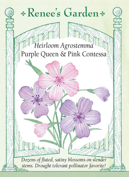 Hand-Picked Seed Bundle - Early Spring Flowers