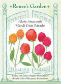 Globe Amaranth - Mardi Gras Parade