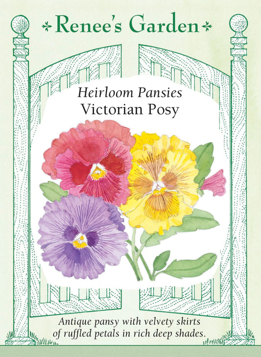 Heirloom Pansies - Victorian Posy