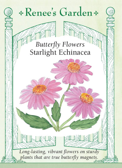 Butterfly Flowers - Starlight Echinacea