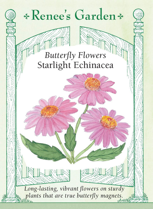 Butterfly Flowers - Starlight Echinacea