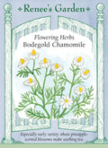Flowering Herbs - Bodegold Chamomile