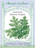Salad Herbs - Runway Arugula
