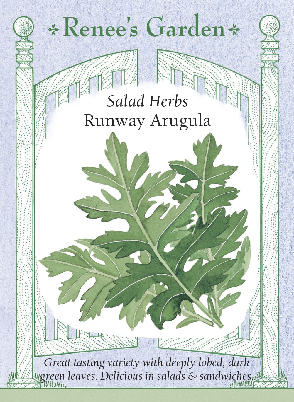 Salad Herbs - Runway Arugula