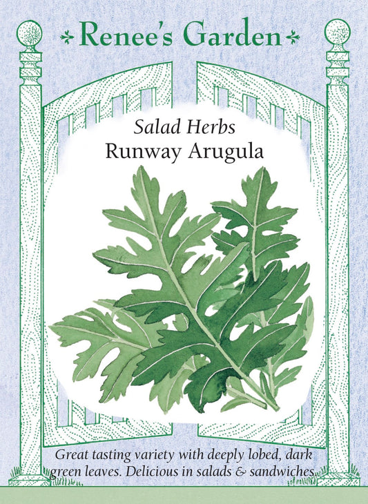 Salad Herbs - Runway Arugula