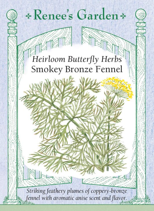 Heirloom Butterfly Herbs - Smokey Bronze Fennel