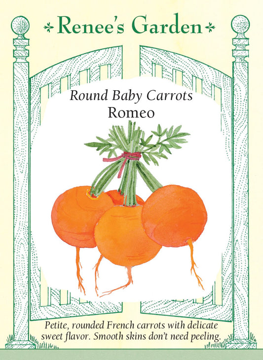 Round Baby Carrots - Romeo