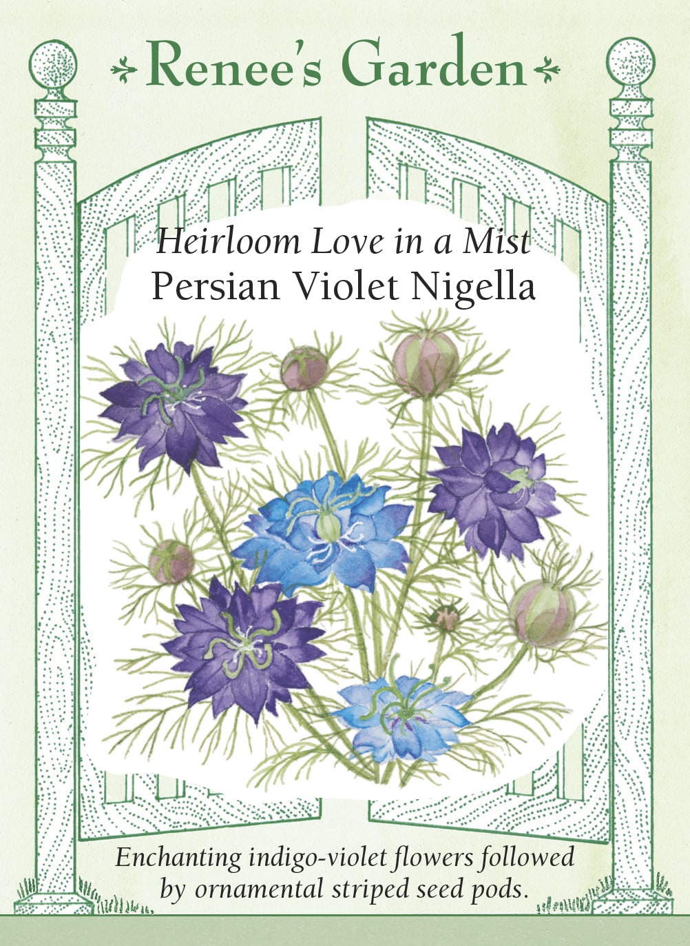 Hand-Picked Seed Bundle - Early Spring Flowers