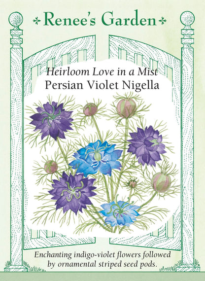 Hand-Picked Seed Bundle - Early Spring Flowers