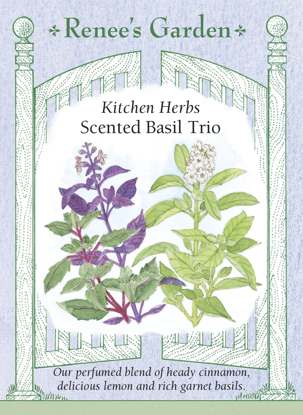 Kitchen Herbs - Scented Basil Trio