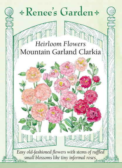Heirloom Flowers - Mountain Garland Clarkia