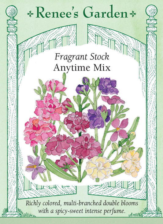 Fragrant Stock - Anytime Mix