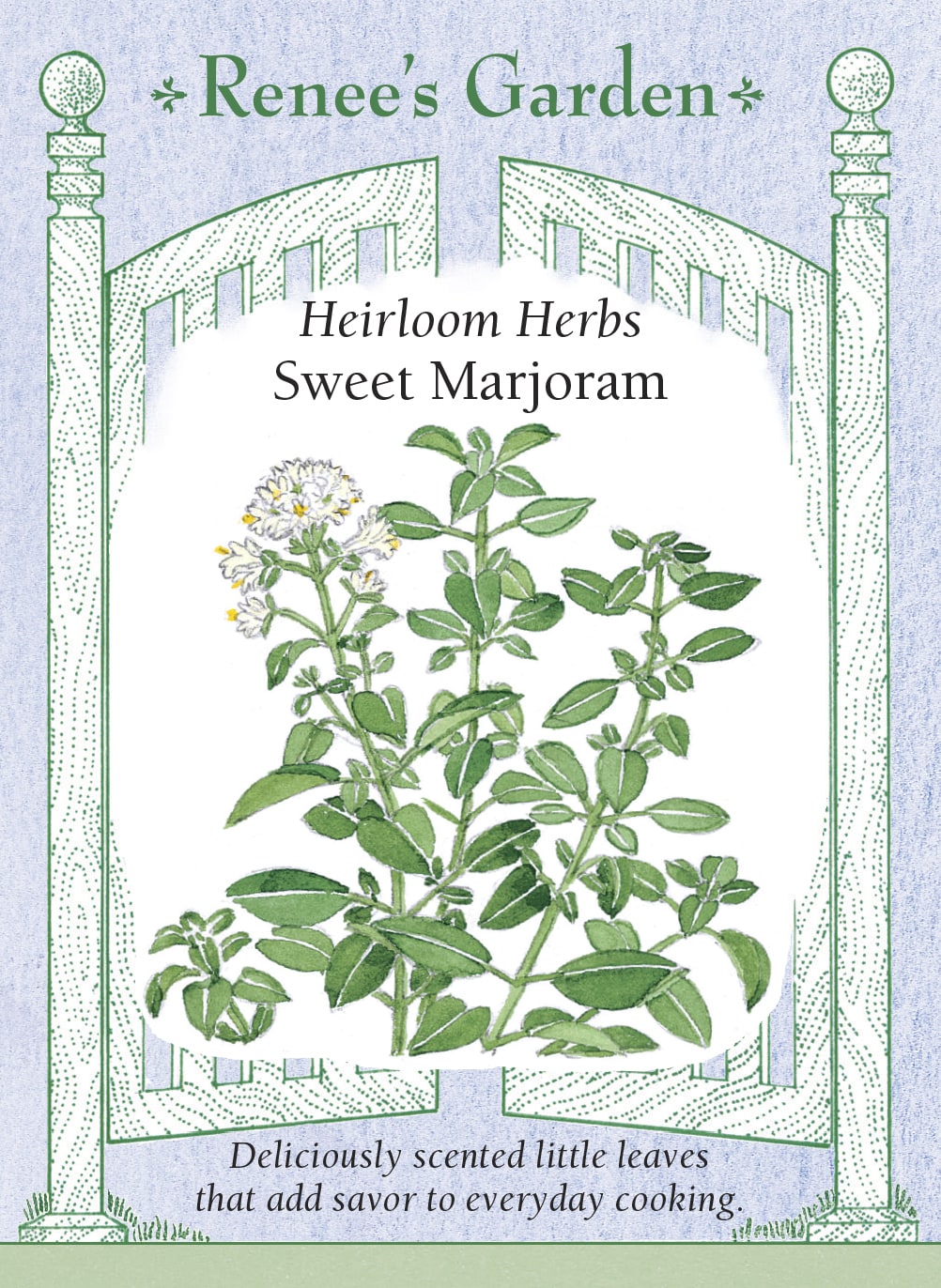 Heirloom Herbs - Sweet Marjoram