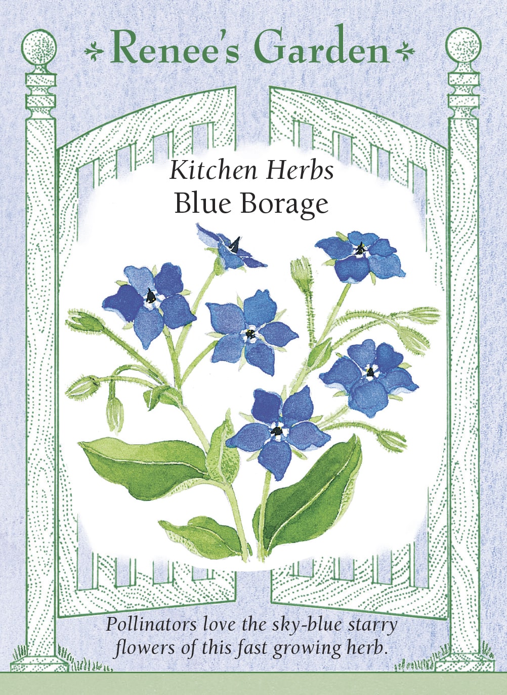 Kitchen Herbs - Blue Borage
