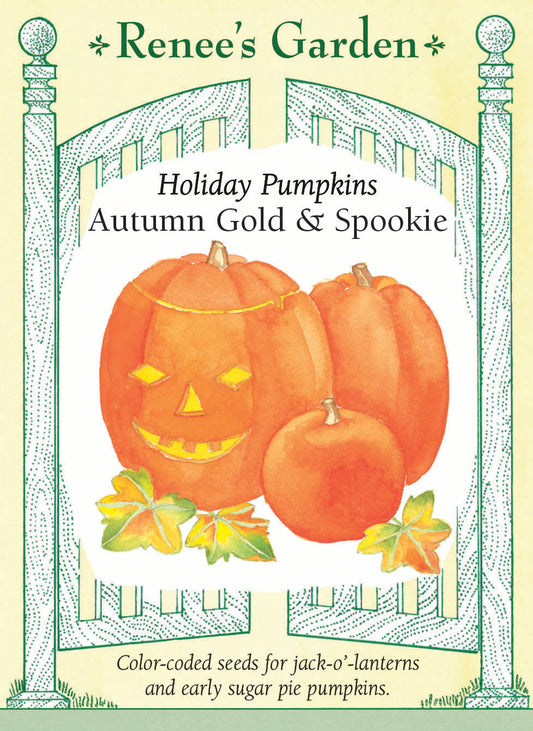 Holiday Mix Pumpkins - Autumn Gold & Spookie