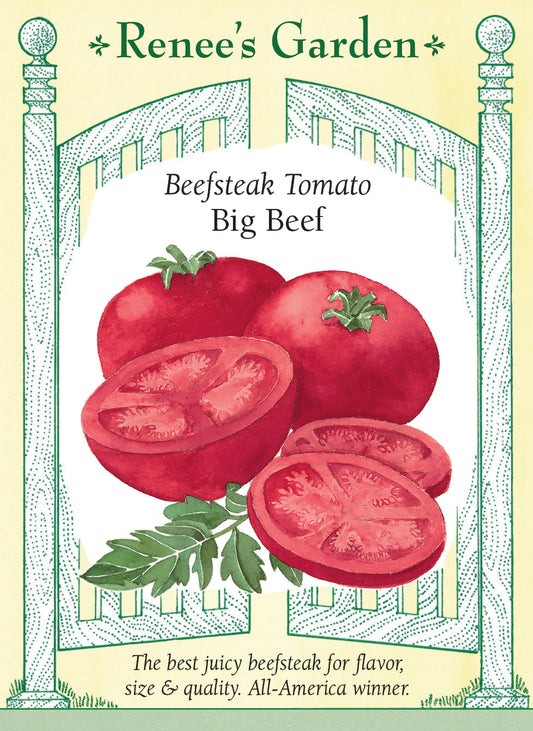 Beefsteak Tomato - Big Beef