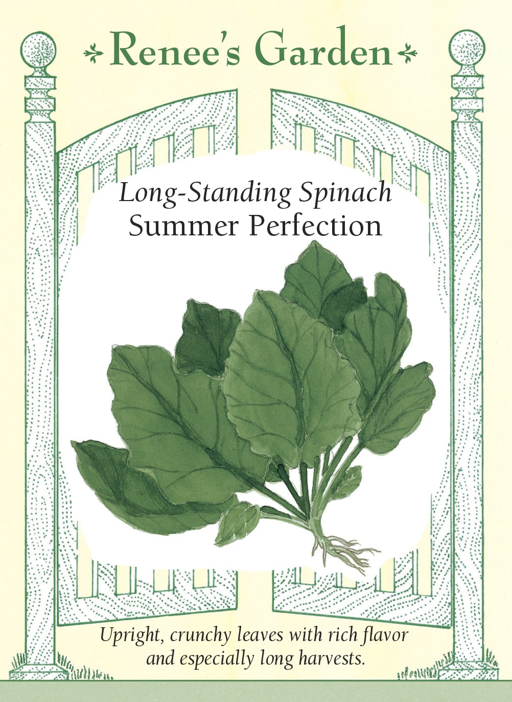 Long-Standing Spinach - Summer Perfection