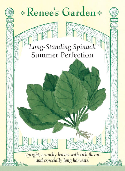 Long-Standing Spinach - Summer Perfection