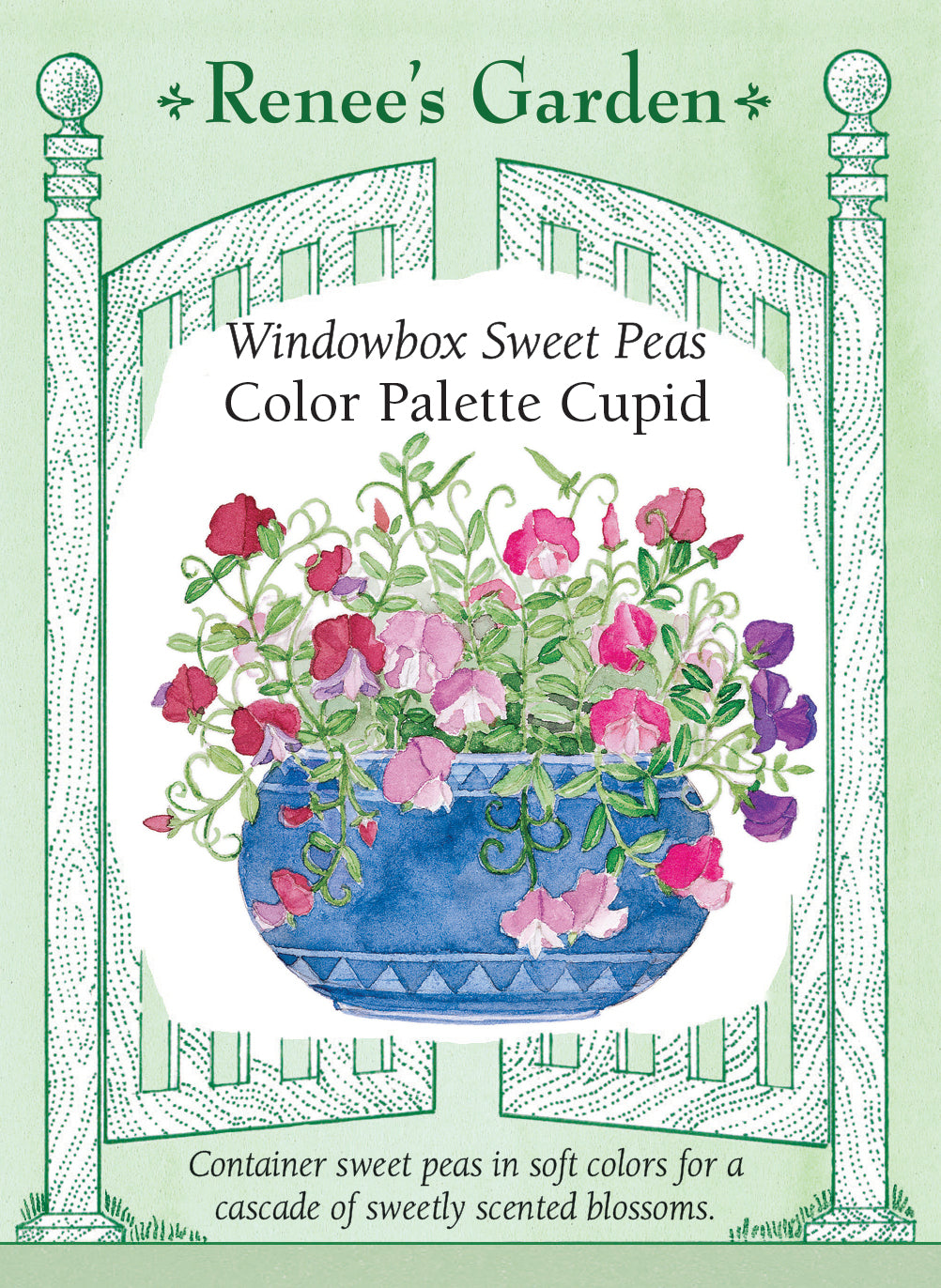 Windowbox Sweet Peas - Color Palette Cupid