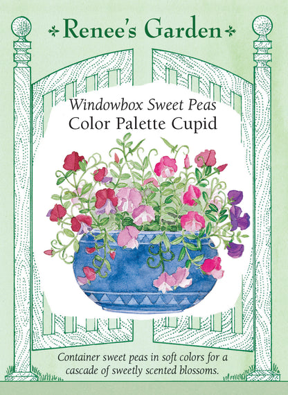 Windowbox Sweet Peas - Color Palette Cupid
