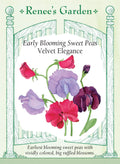 Early Blooming Sweet Peas - Velvet Elegance