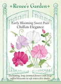 Early Blooming Sweet Peas - Chiffon Elegance
