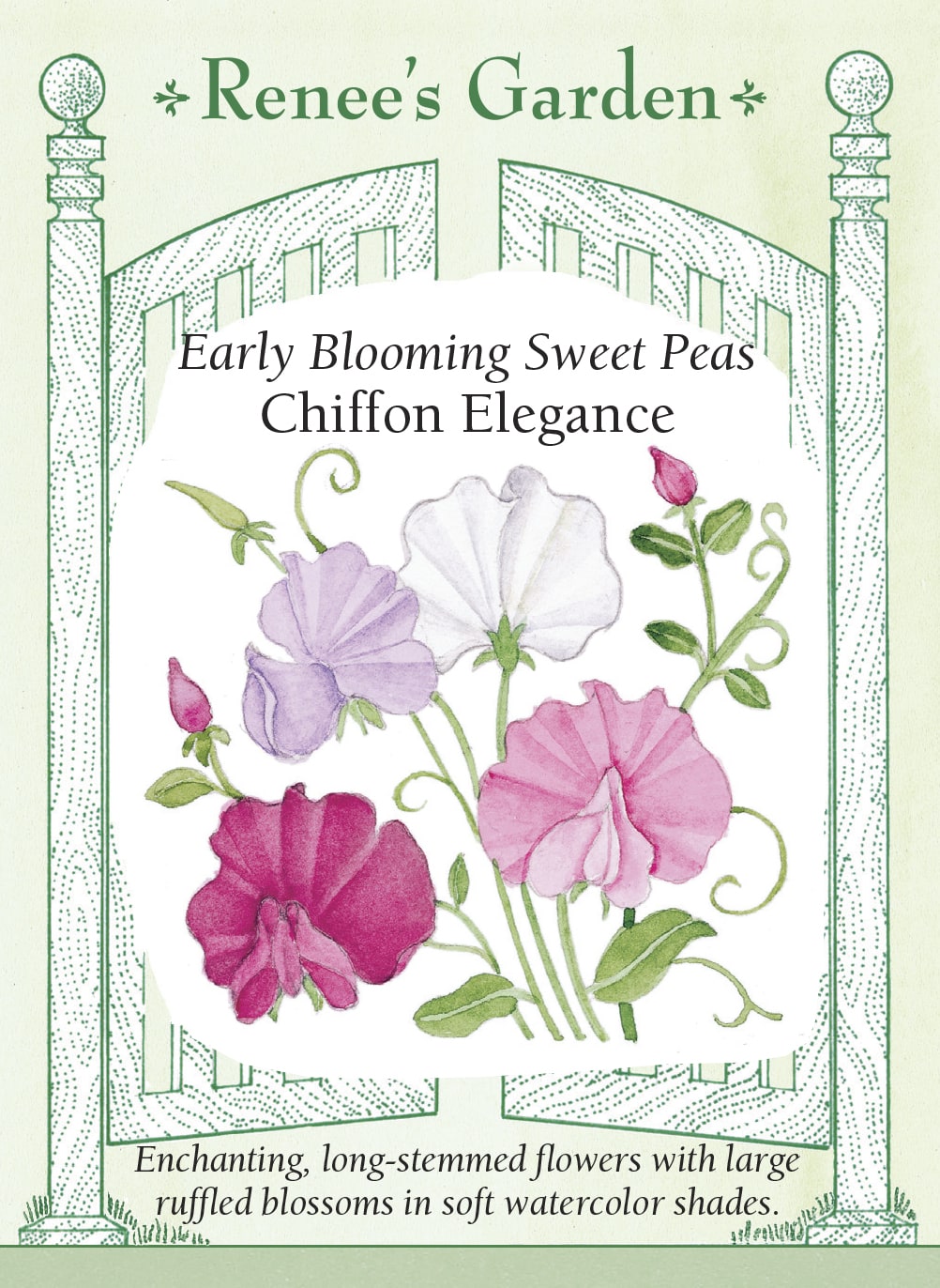 Early Blooming Sweet Peas - Chiffon Elegance