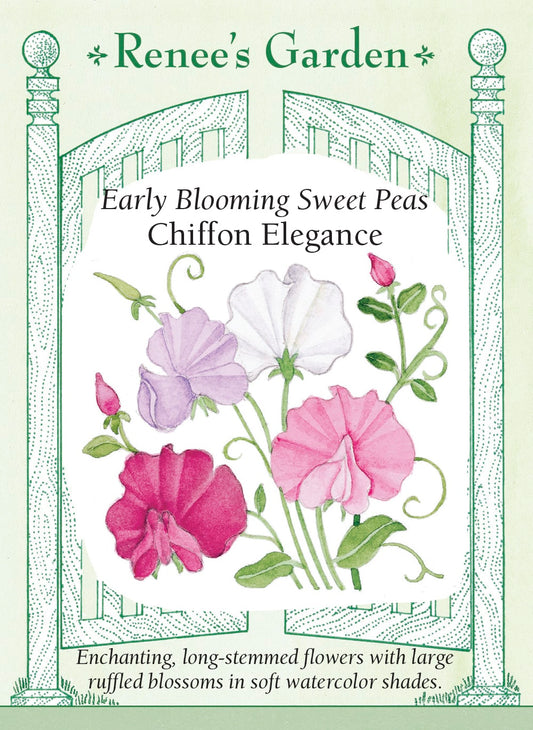 Early Blooming Sweet Peas - Chiffon Elegance