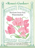 Heirloom Sweet Peas - Watermelon
