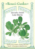 Specialty Salads - Gala Mâche