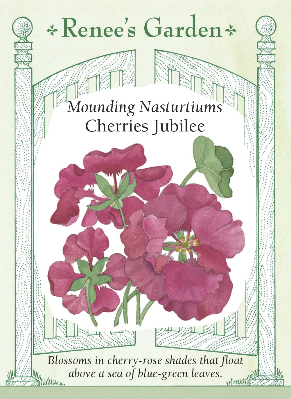 Mounding Nasturtiums - Cherries Jubilee