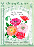 Shirley Poppies - Angels' Choir