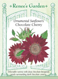 Ornamental Sunflowers - Chocolate Cherry
