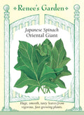 Japanese Spinach - Oriental Giant
