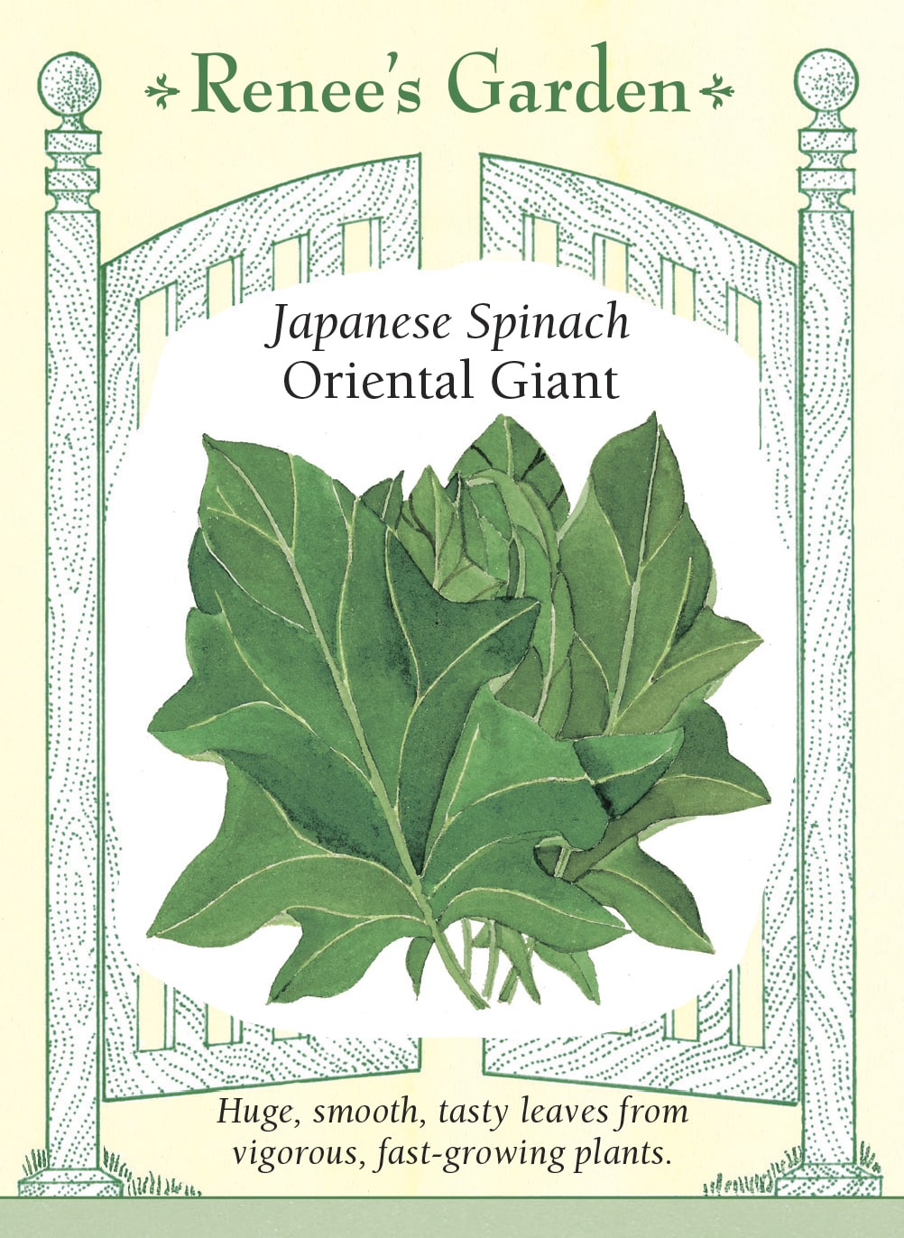 Japanese Spinach - Oriental Giant
