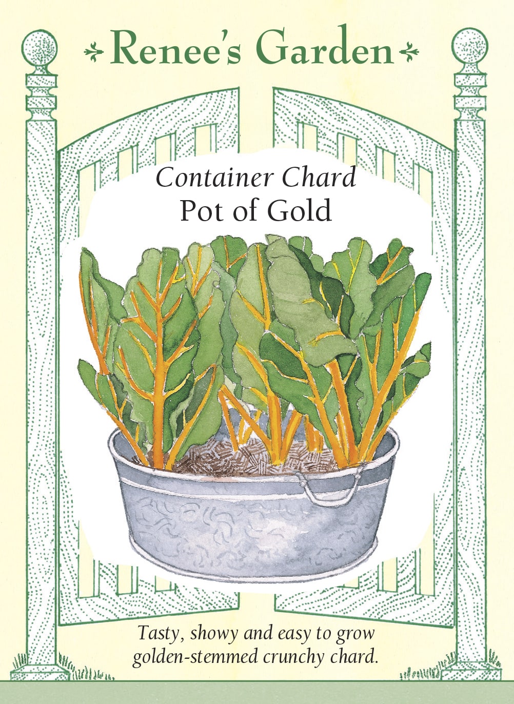 Container Chard - Pot of Gold