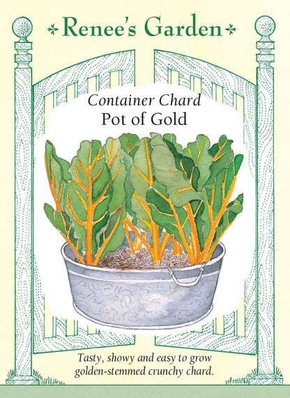 Container Chard - Pot of Gold